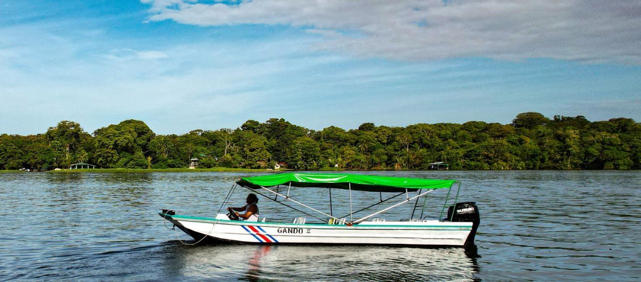 Departamento 7 Tortuguero Lägenhet Exteriör bild
